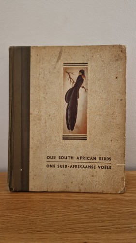 Our south african - our,