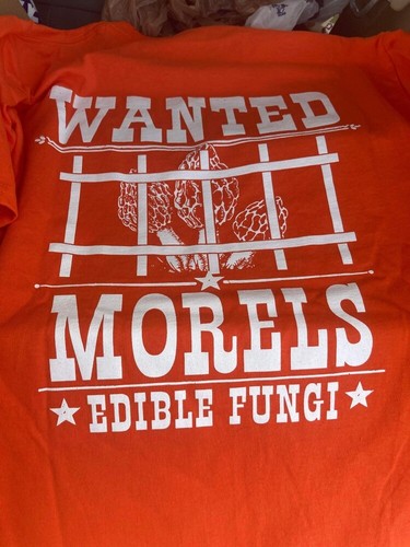 Our company shirts - our, company’s